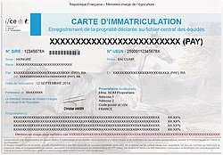 Carte immatriculation cheval, obligations administratives achat cheval, acheter cheval, papier cheval, trouver le bon cheval