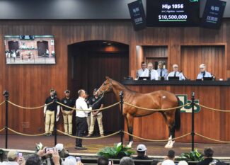 10,5 millions de dollars pour un fils de Flightline : une enchère record à Ocala, ventes aux enchères cheval courses hippiques, Trouver le bon cheval
