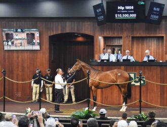 10,5 millions de dollars pour un fils de Flightline : une enchère record à Ocala, ventes aux enchères cheval courses hippiques, Trouver le bon cheval