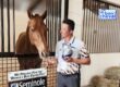 Julio Mendoza Loor et Jewel's Goldstrike, dressage horse, FEI world cup finals, paris 2024, Trouver le bon cheval