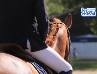 Vaccination chevaux : Découvrez le nouveau simulateur gratuit de l'IFCE permettant de connaître les obligations vaccinales de votre cheval selon son activité. Un outil simple pour propriétaires, cavaliers, éleveurs et vétérinaires. Vaccin cheval