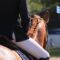 Vaccination chevaux : Découvrez le nouveau simulateur gratuit de l'IFCE permettant de connaître les obligations vaccinales de votre cheval selon son activité. Un outil simple pour propriétaires, cavaliers, éleveurs et vétérinaires. Vaccin cheval