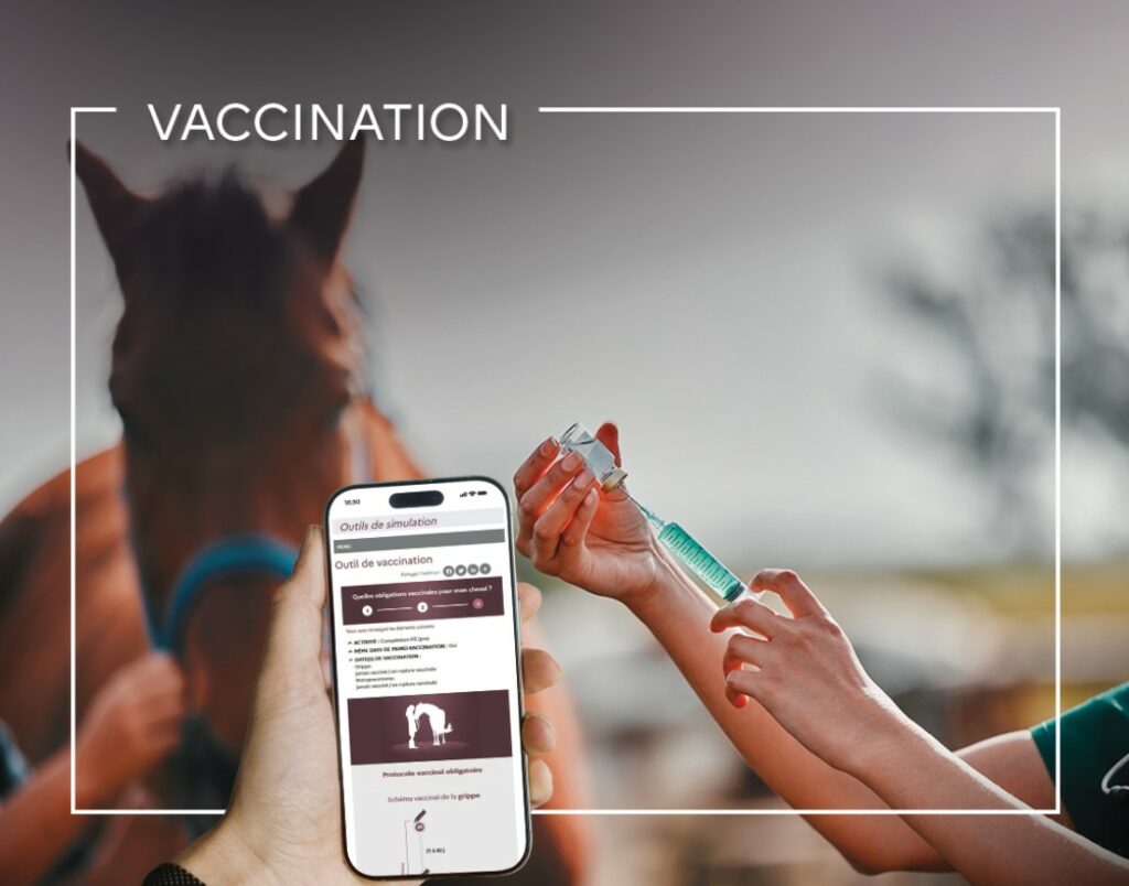 Vaccination chevaux : Découvrez le nouveau simulateur gratuit de l'IFCE permettant de connaître les obligations vaccinales de votre cheval selon son activité. Un outil simple pour propriétaires, cavaliers, éleveurs et vétérinaires. Vaccin cheval