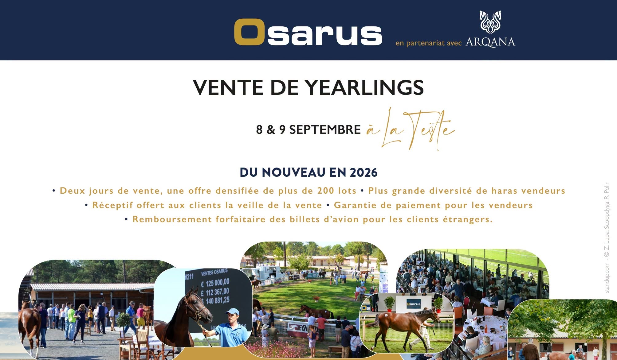 vente La Teste Osarus, vente yearlings La Teste, Osarus ARQANA, catalogue Osarus 2026, vente chevaux de course, yearlings France, ventes Osarus